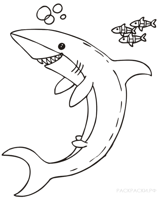 Название: Раскраска Раскраска для девочек акула с пузырями и рыбками. Категория: . Теги: .