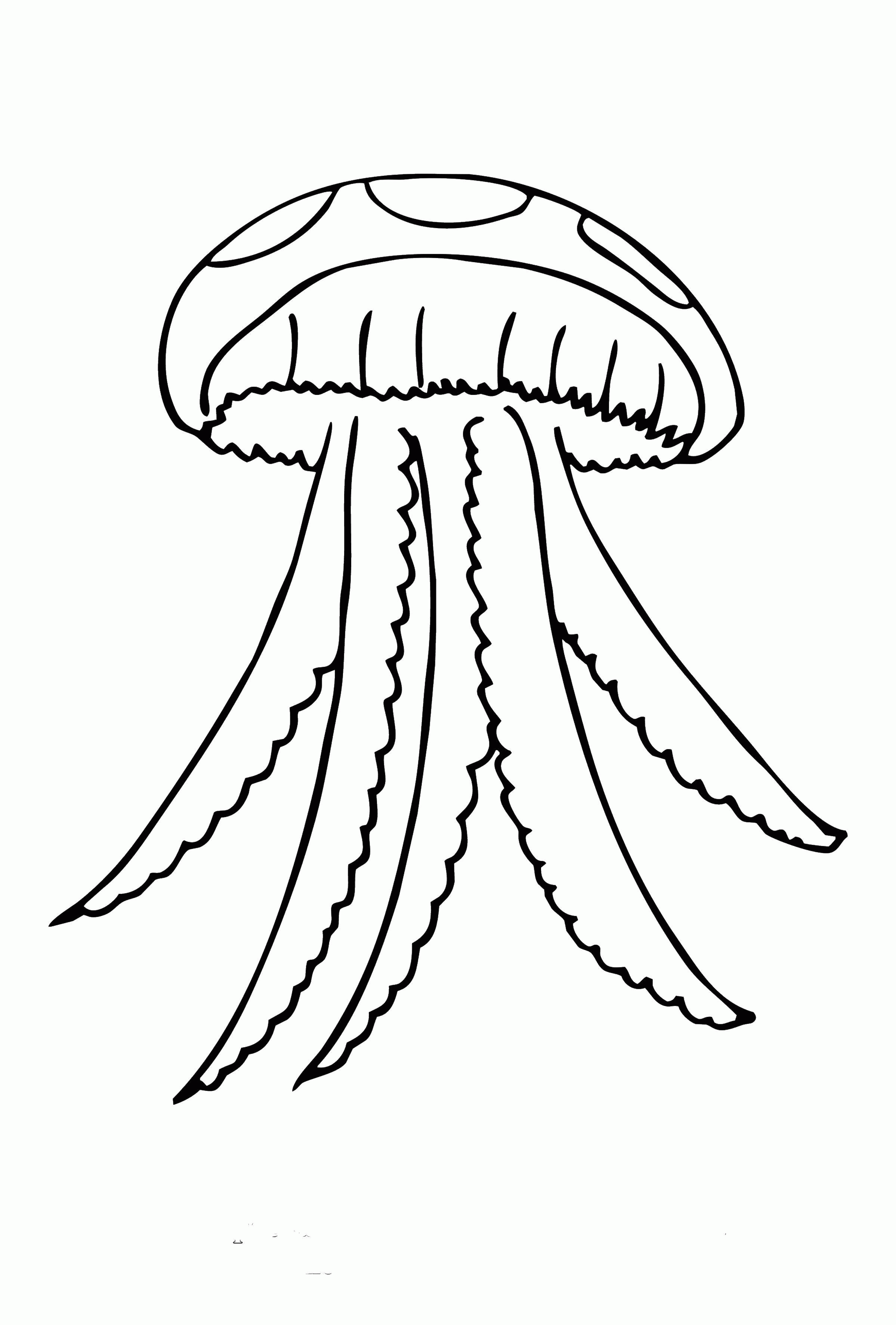 Название: Раскраска Медуза в океане. Категория: . Теги: .