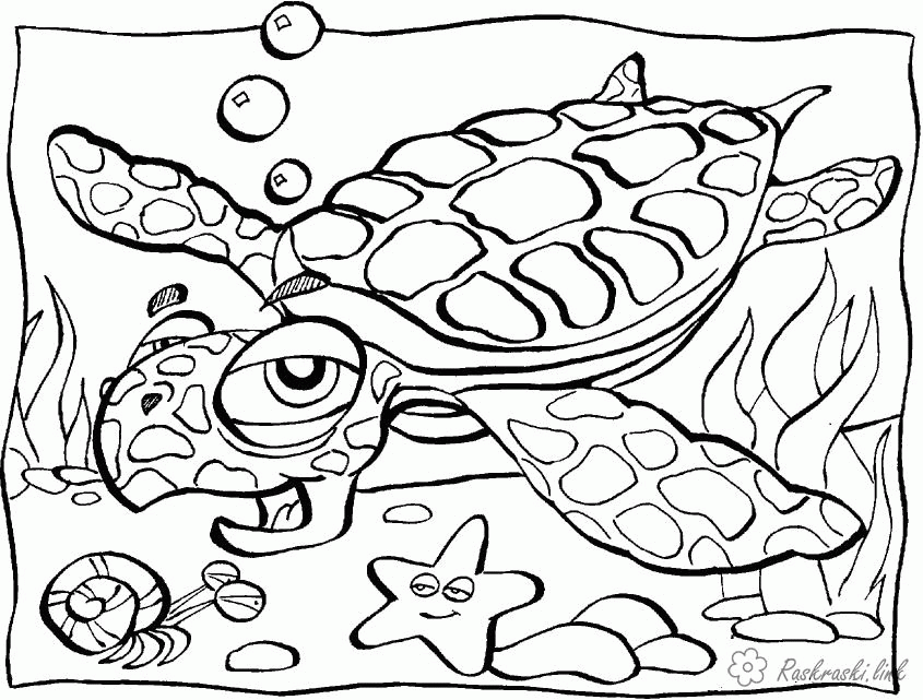 Название: Раскраска Раскраска морская черепаха. Категория: . Теги: .