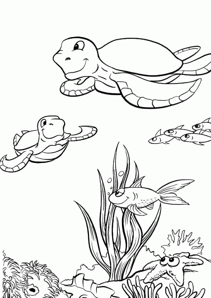 Название: Раскраска Морские черепахи плавают вместе. Категория: . Теги: .