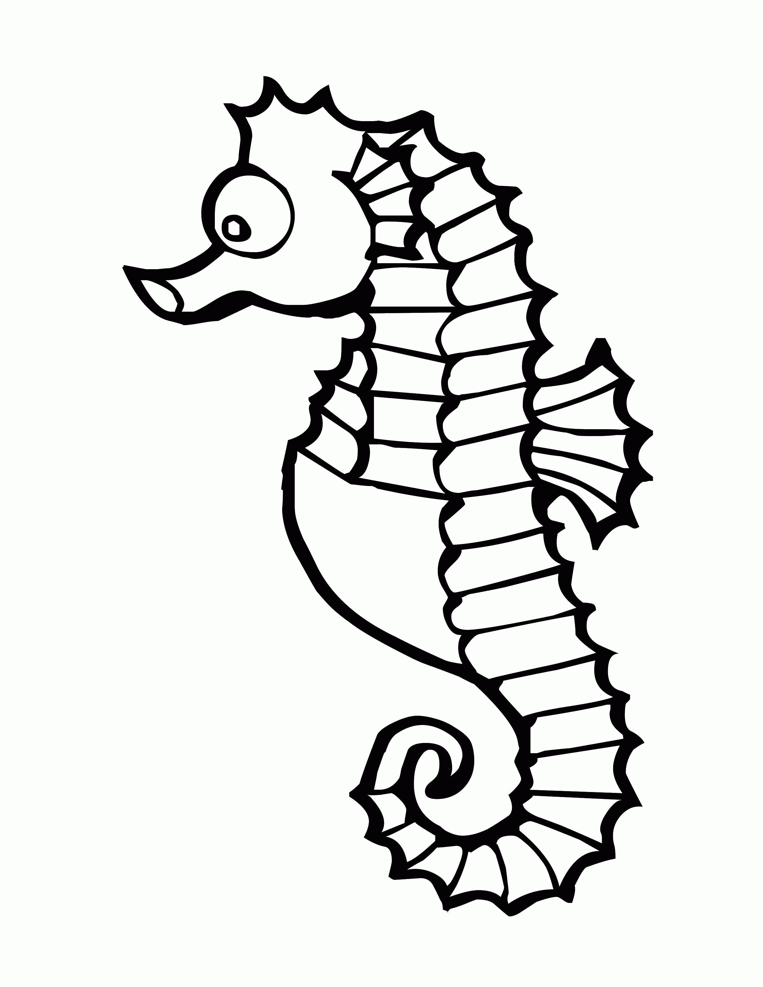 Название: Раскраска Морские коньки род небольших морских костистых рыб. Категория: . Теги: .