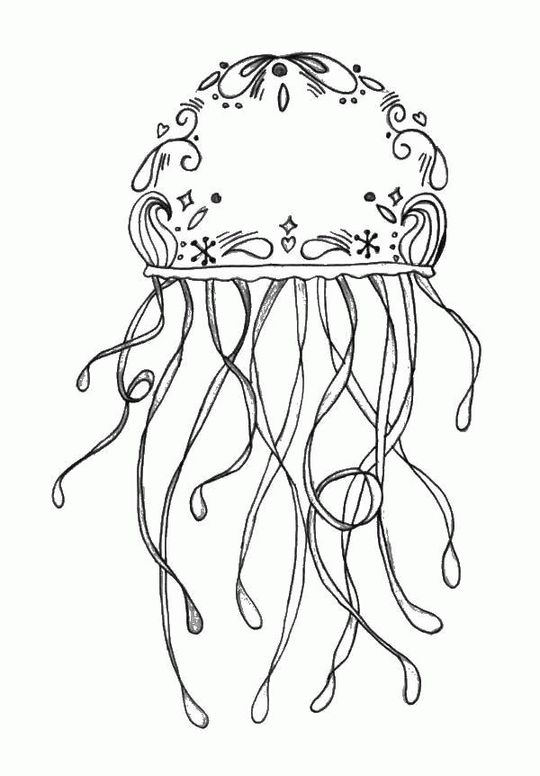 Название: Раскраска Узорчатая медуза. Категория: . Теги: .