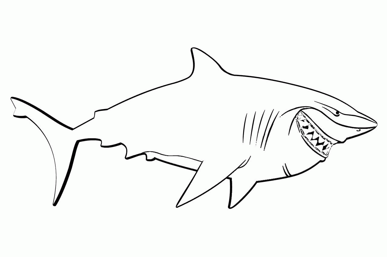 Название: Раскраска Акула с острыми зубами. Категория: . Теги: .