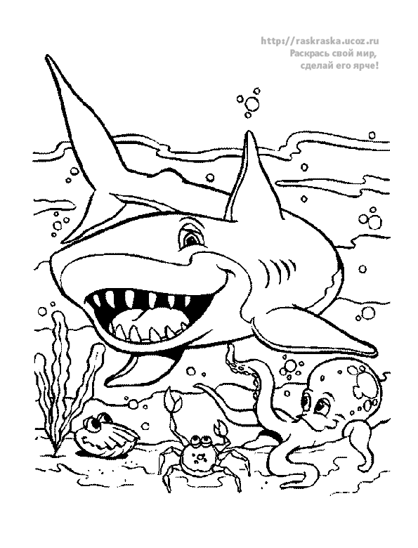Название: Раскраска акула и рыбки. Категория: . Теги: .