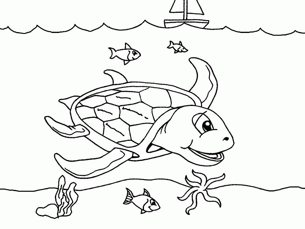 Раскраска морская черепаха Скачать .  Распечатать 