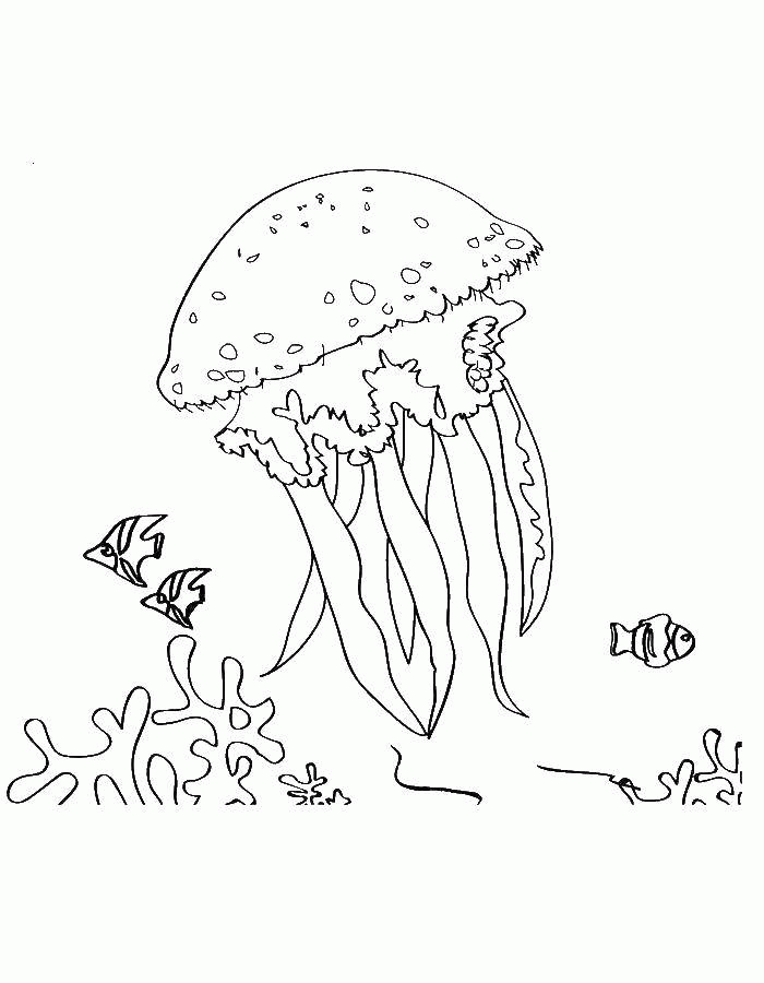 Название: Раскраска Огромная медуза. Категория: . Теги: .