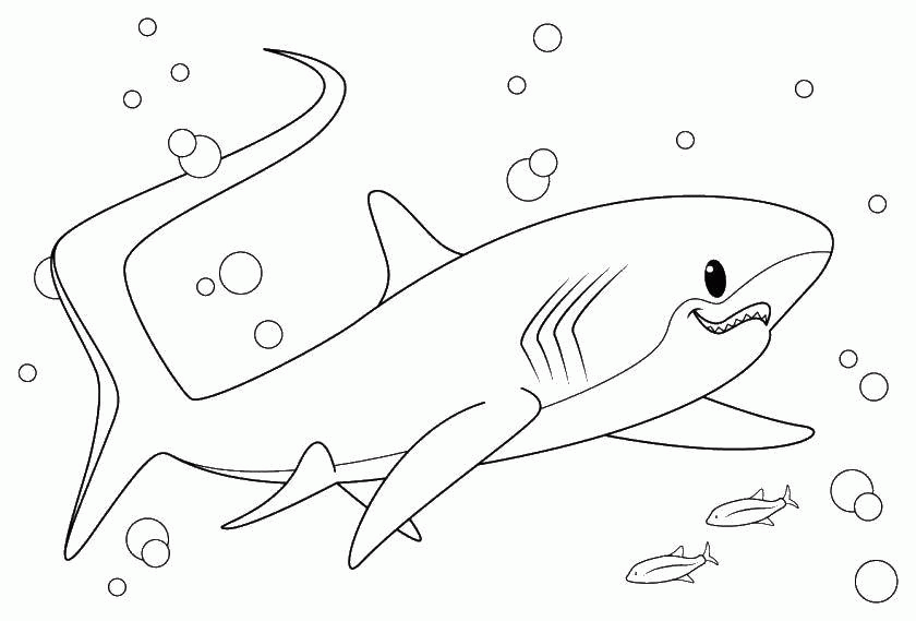Название: Раскраска Добренькая акула. Категория: . Теги: .