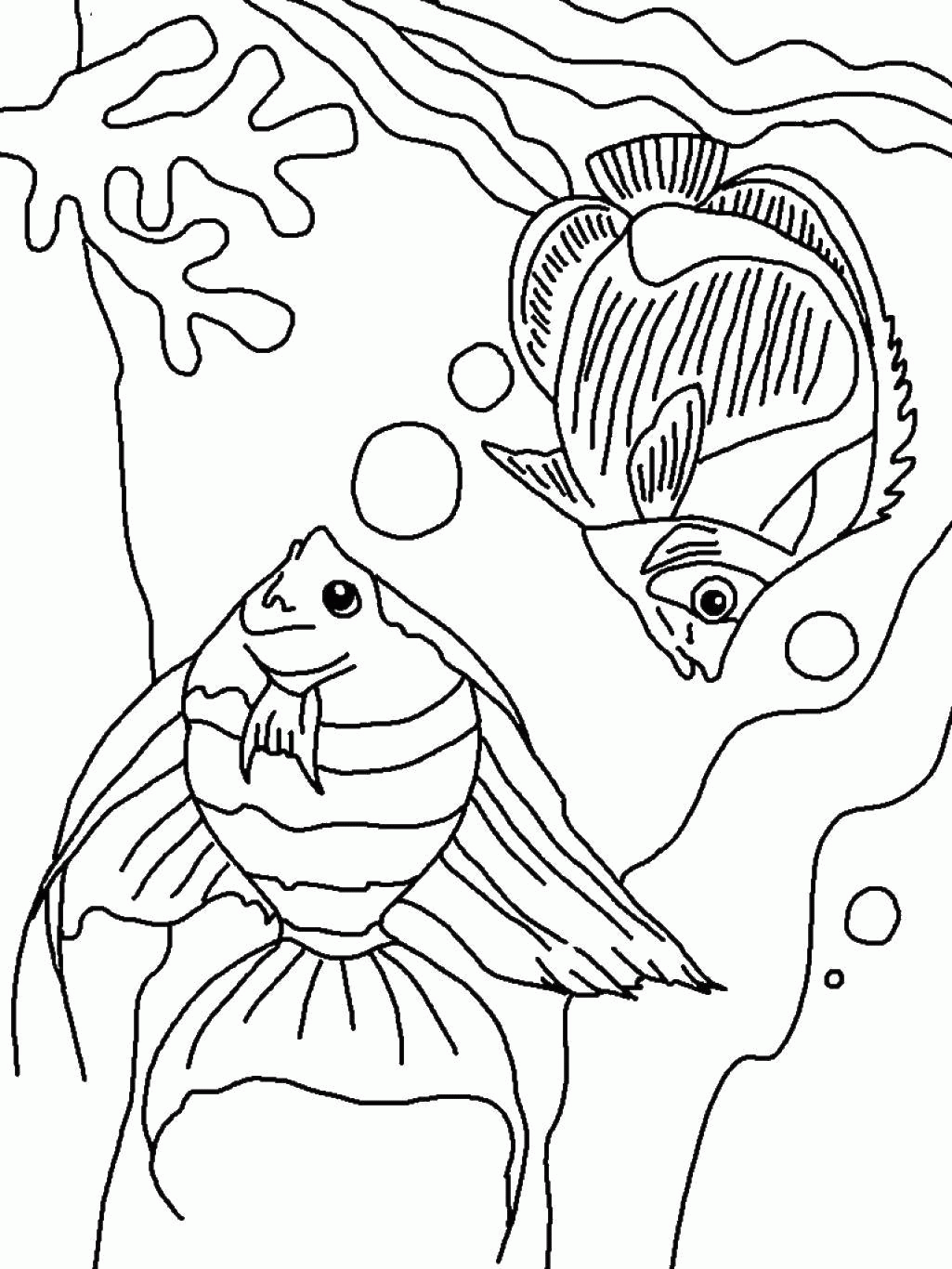 Название: Раскраска Две рыбы и кораллы с пузырями. Категория: . Теги: .