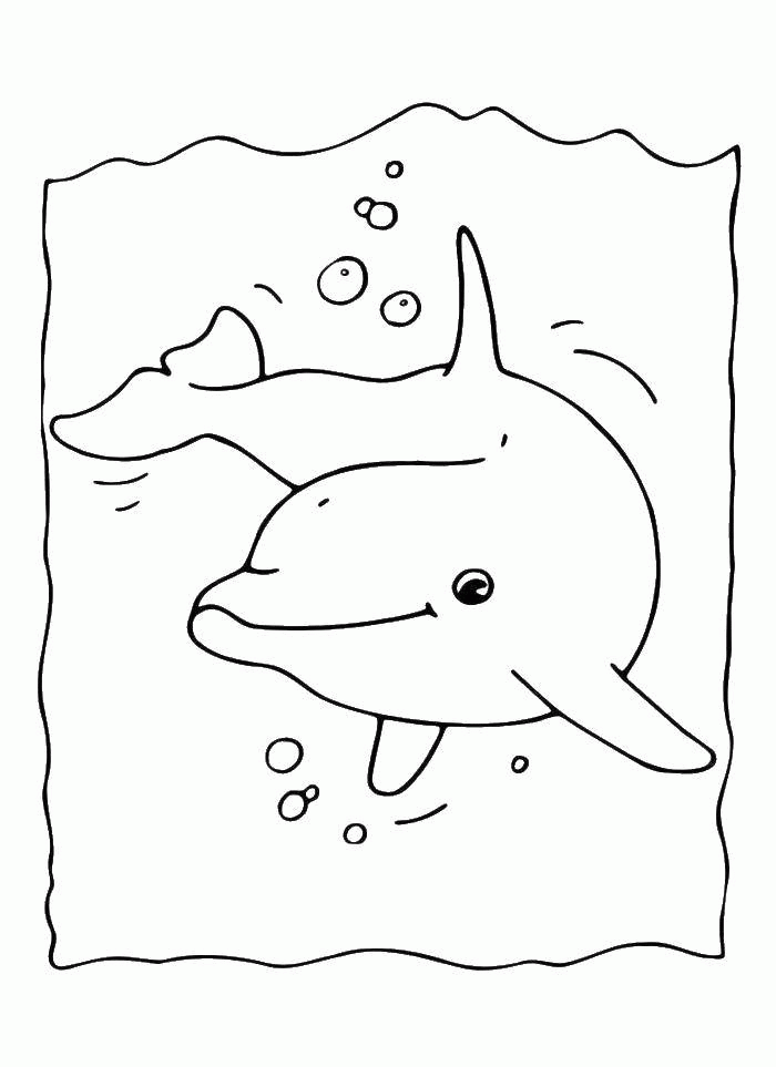 Название: Раскраска Дельфинчик в воде. Категория: . Теги: .