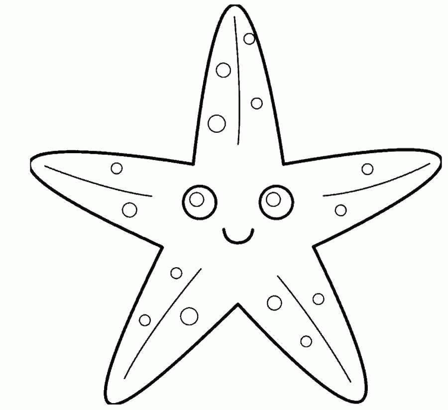 Раскраска морская звезда Скачать .  Распечатать 