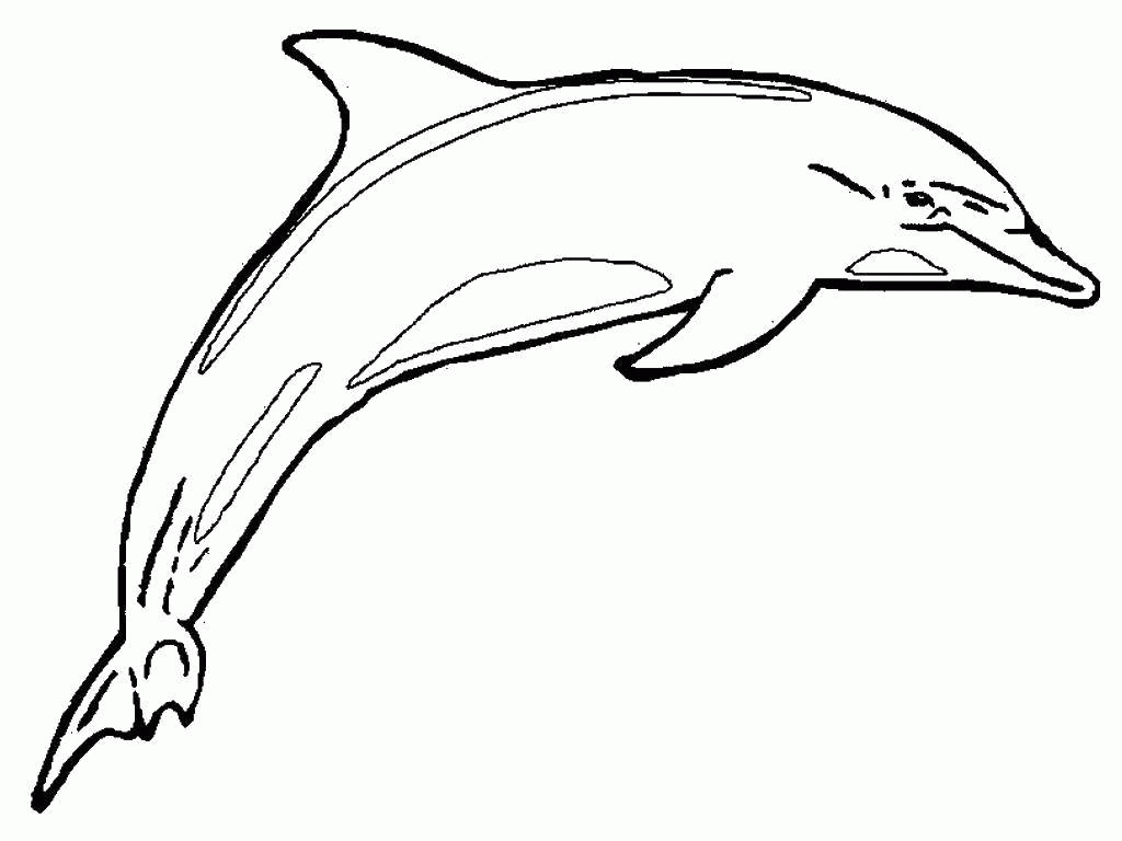 Название: Раскраска Блестящий дельфин. Категория: . Теги: .