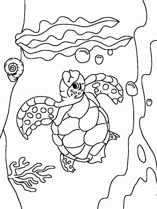 Название: Раскраска Морская черепаха. Категория: . Теги: .