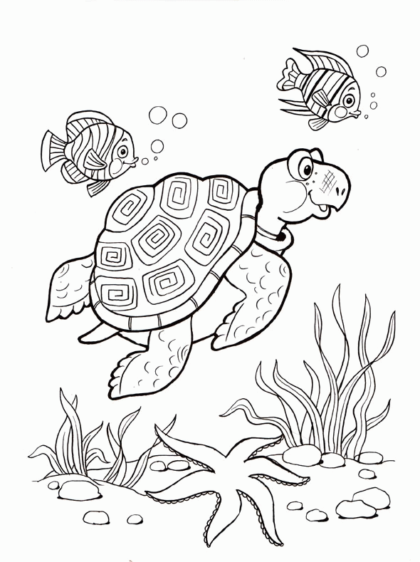 Название: Раскраска Морская черепаха и рыбки. Категория: . Теги: .