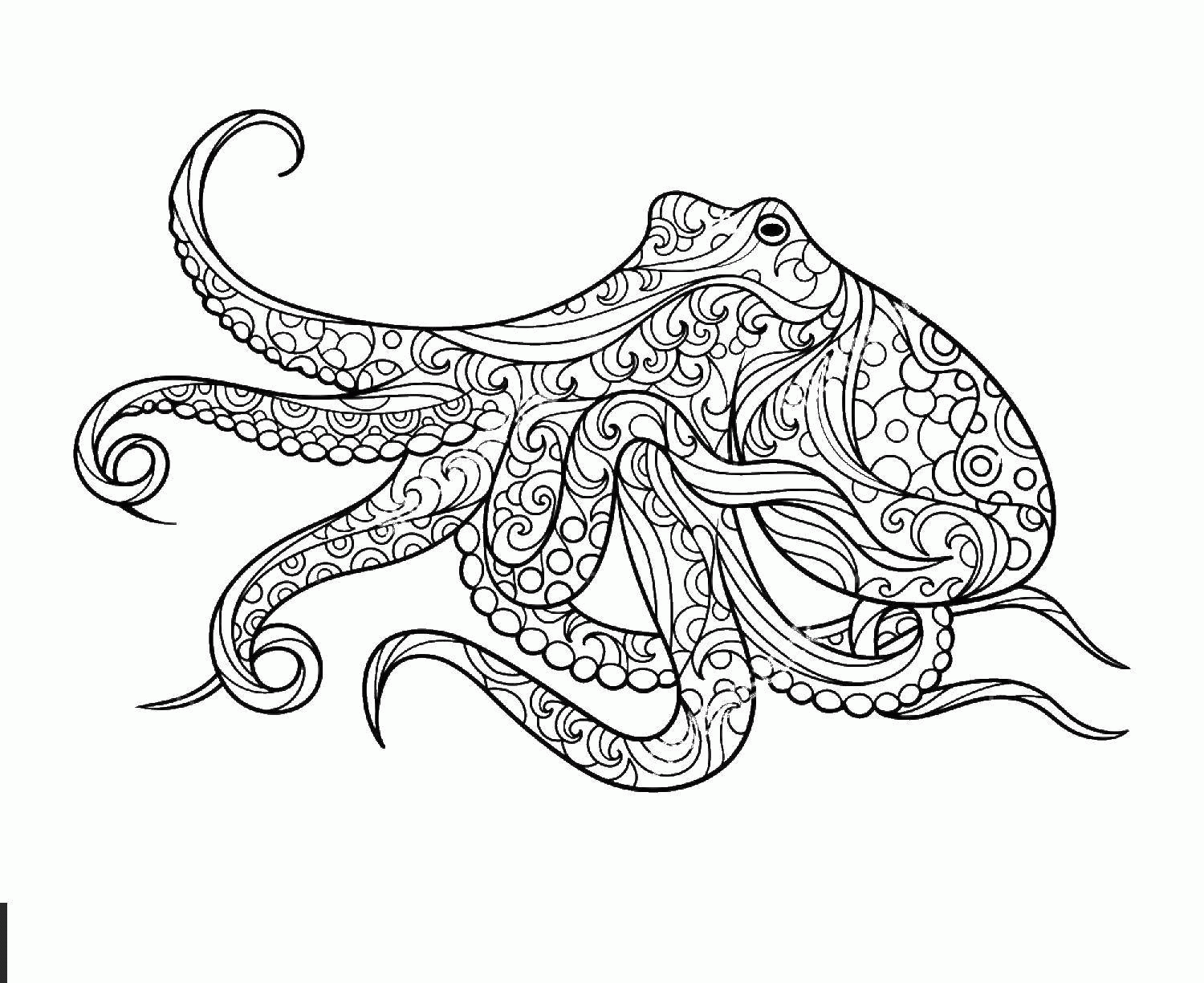 Название: Раскраска Раскраска Узорный осьминог Скачать Подводный мир, осьминог.  Распечатать ,Морские животные,. Категория: . Теги: .