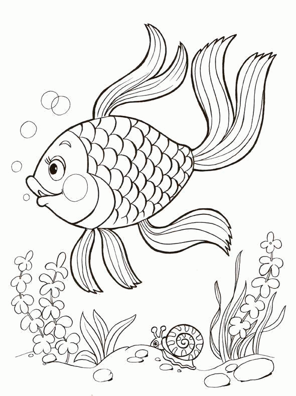 Раскраска Название: Раскраска Золотая рыбка под водой. Категория: рыбы. Теги: Подводный мир, золотая рыбка. Скачать .  Распечатать 