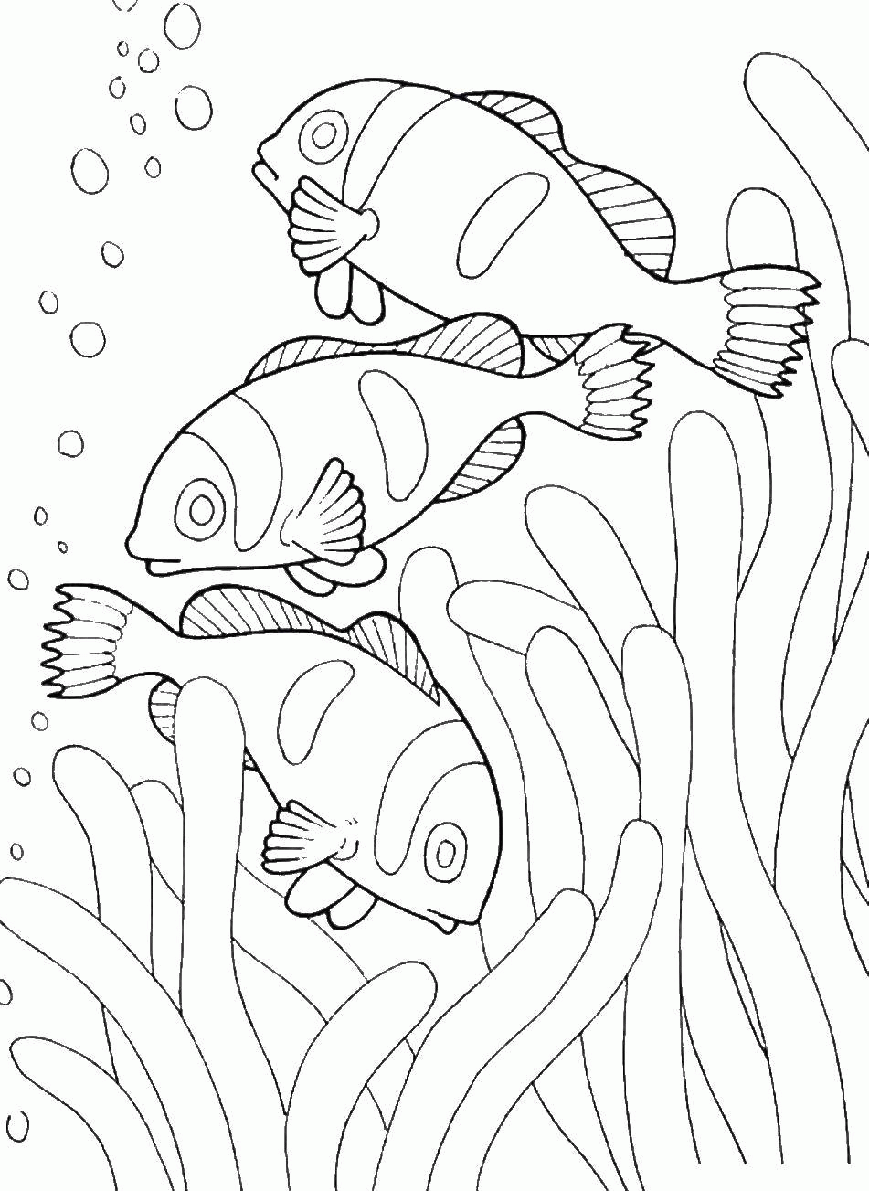 Название: Раскраска Название: Раскраска Рыбки среди кораллов и водорослей. Категория: Морские животные. Теги: Подводный мир, рыба.. Категория: . Теги: .