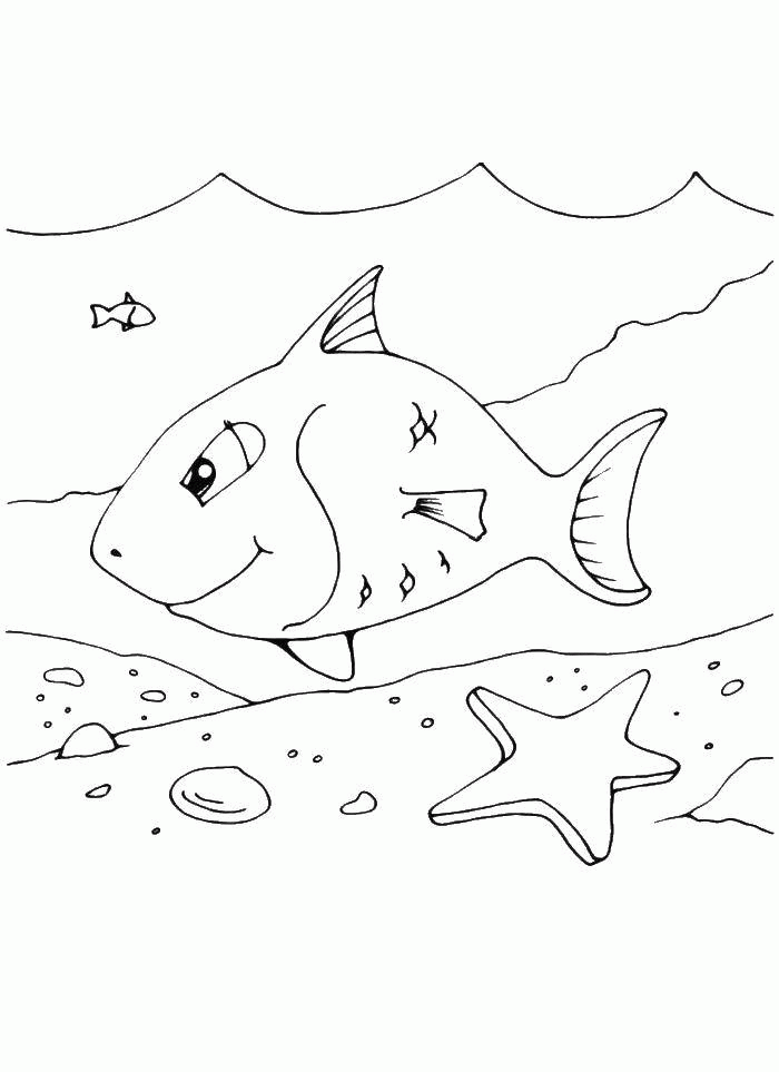 Название: Раскраска Рыба и морская звезда. Категория: . Теги: .