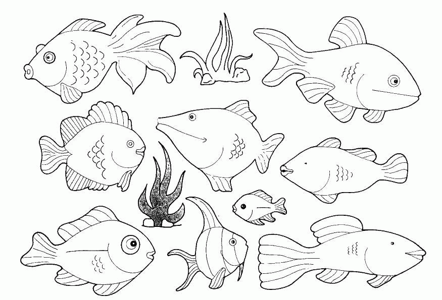 Раскраска Разные рыбы в море Скачать .  Распечатать 