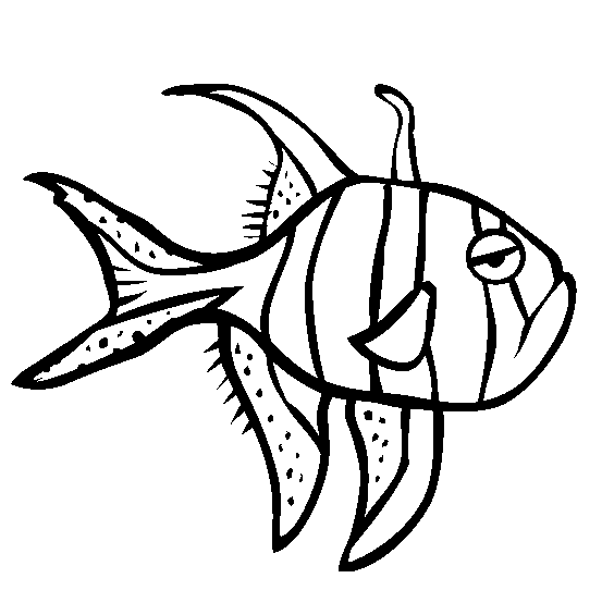 Раскраска Раскраски рыбы рыба выкройка для вырезания из бумаги, недовольная рыбка Скачать .  Распечатать 