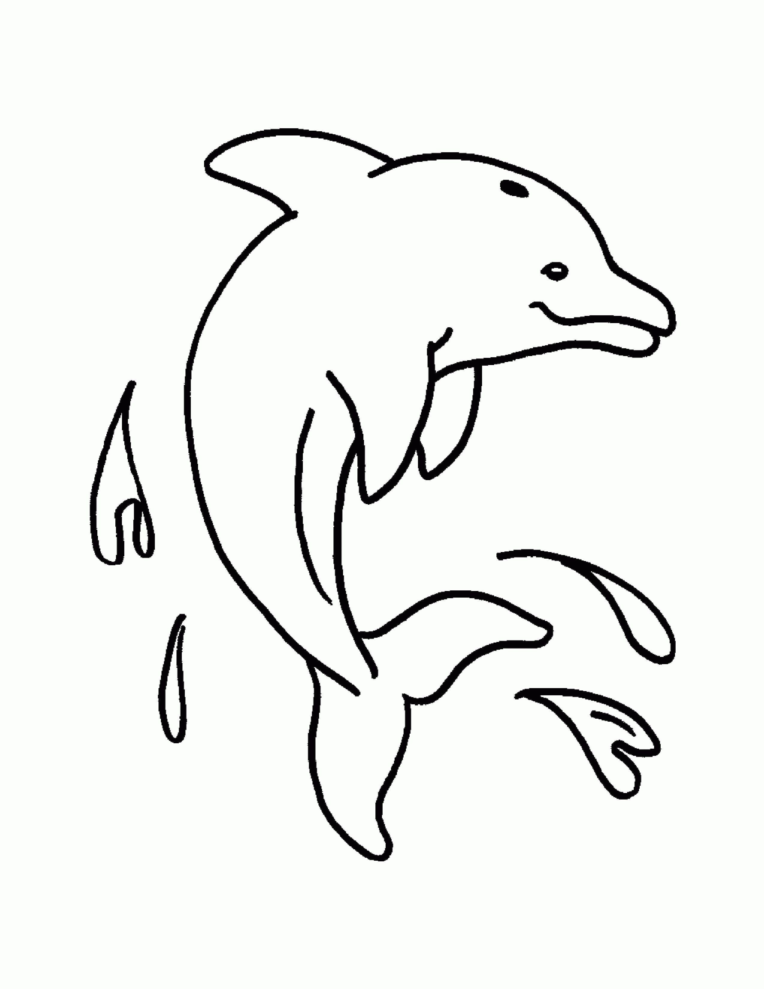 Название: Раскраска Капельки на дельфине. Категория: . Теги: .