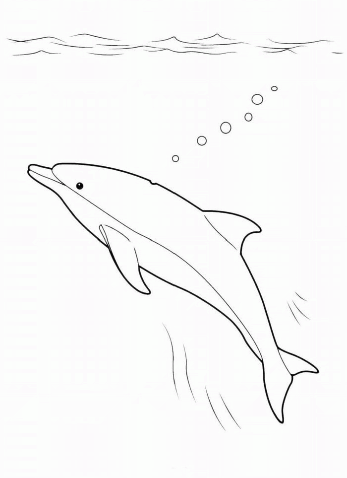 Название: Раскраска Дельфин в море раскрашивать. Категория: . Теги: .