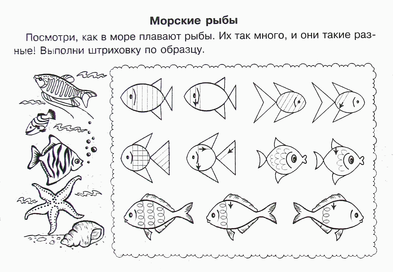 Раскраска Штриховки для детей, морские рыбы Скачать .  Распечатать 