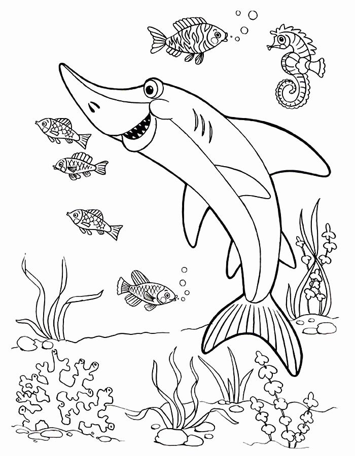 Раскраска Детские раскраски для девочек и мальчиков. акула Скачать .  Распечатать 
