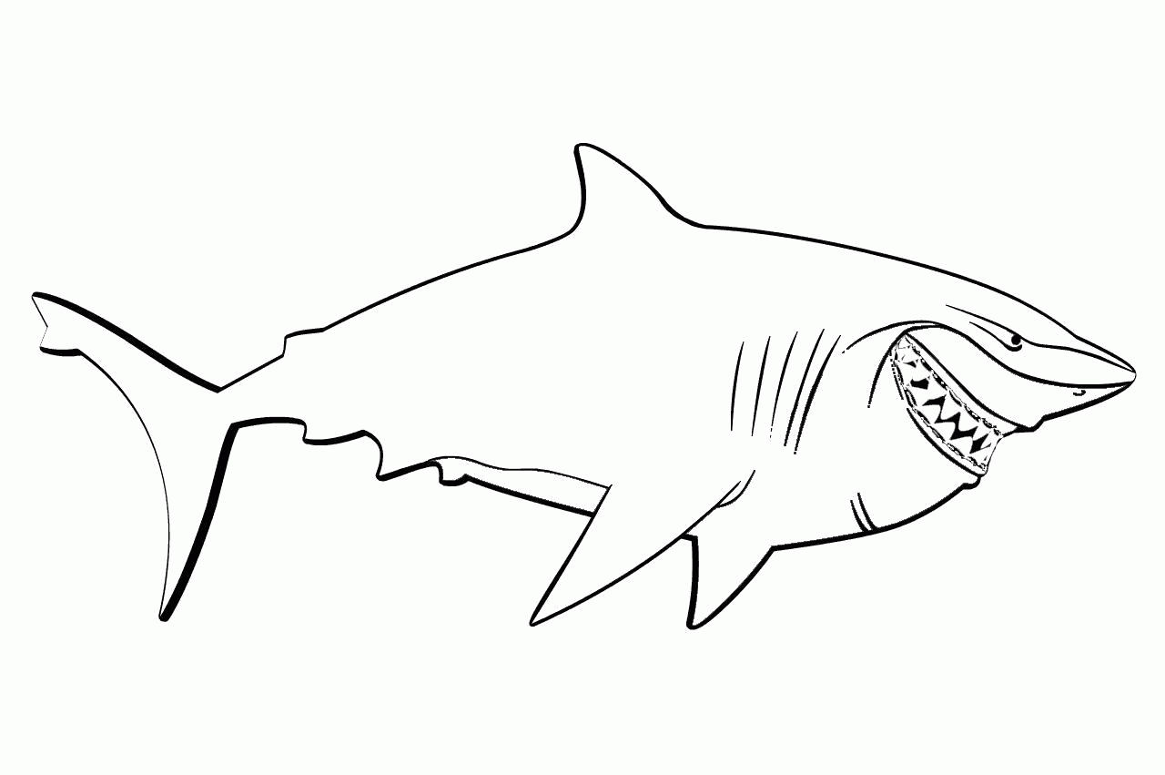Название: Раскраска Раскраска акула. Скачать в поисках Немо.  Распечатать в поисках Немо. Категория: . Теги: .
