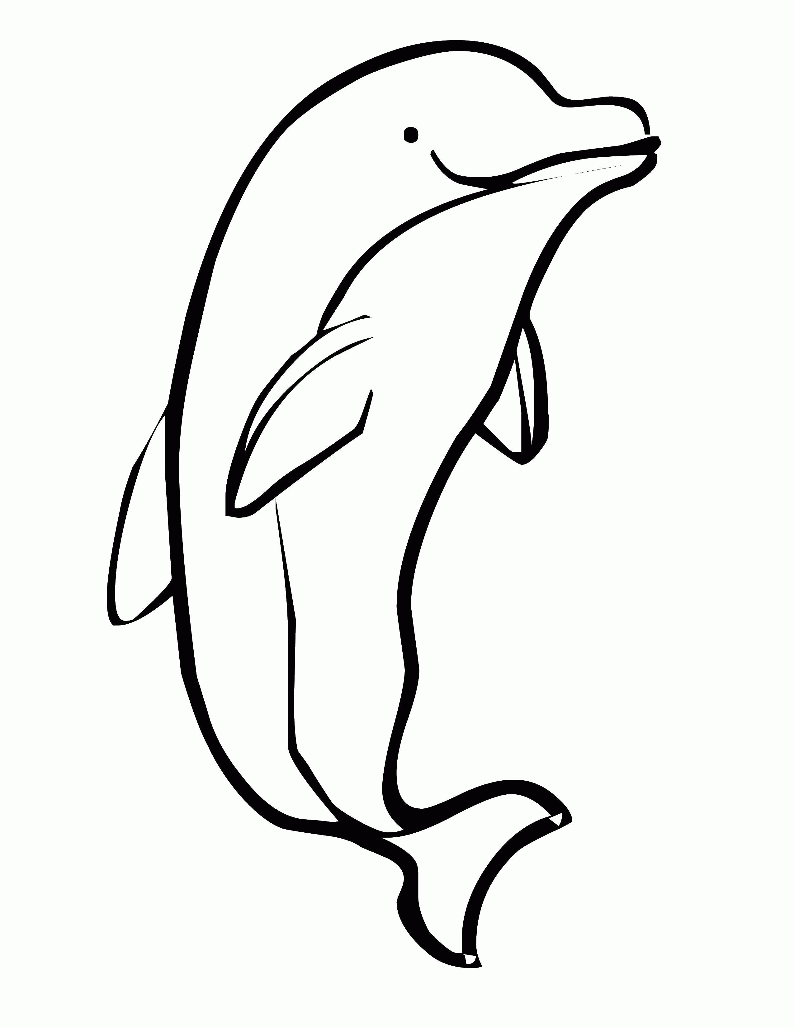 Название: Раскраска Милашка дельфин.. Категория: . Теги: .