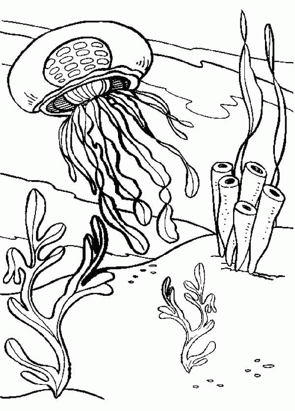 Название: Раскраска Медуза проплывает между водорослей. Категория: . Теги: .