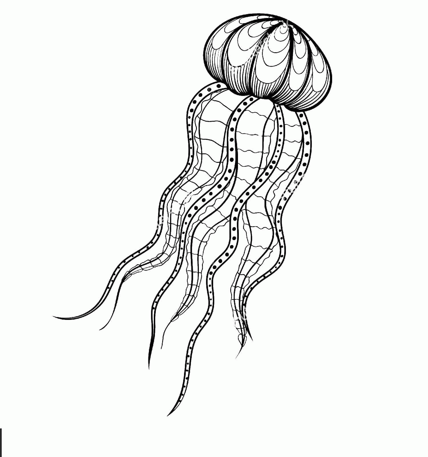 Название: Раскраска Узорная медуза. Категория: . Теги: .