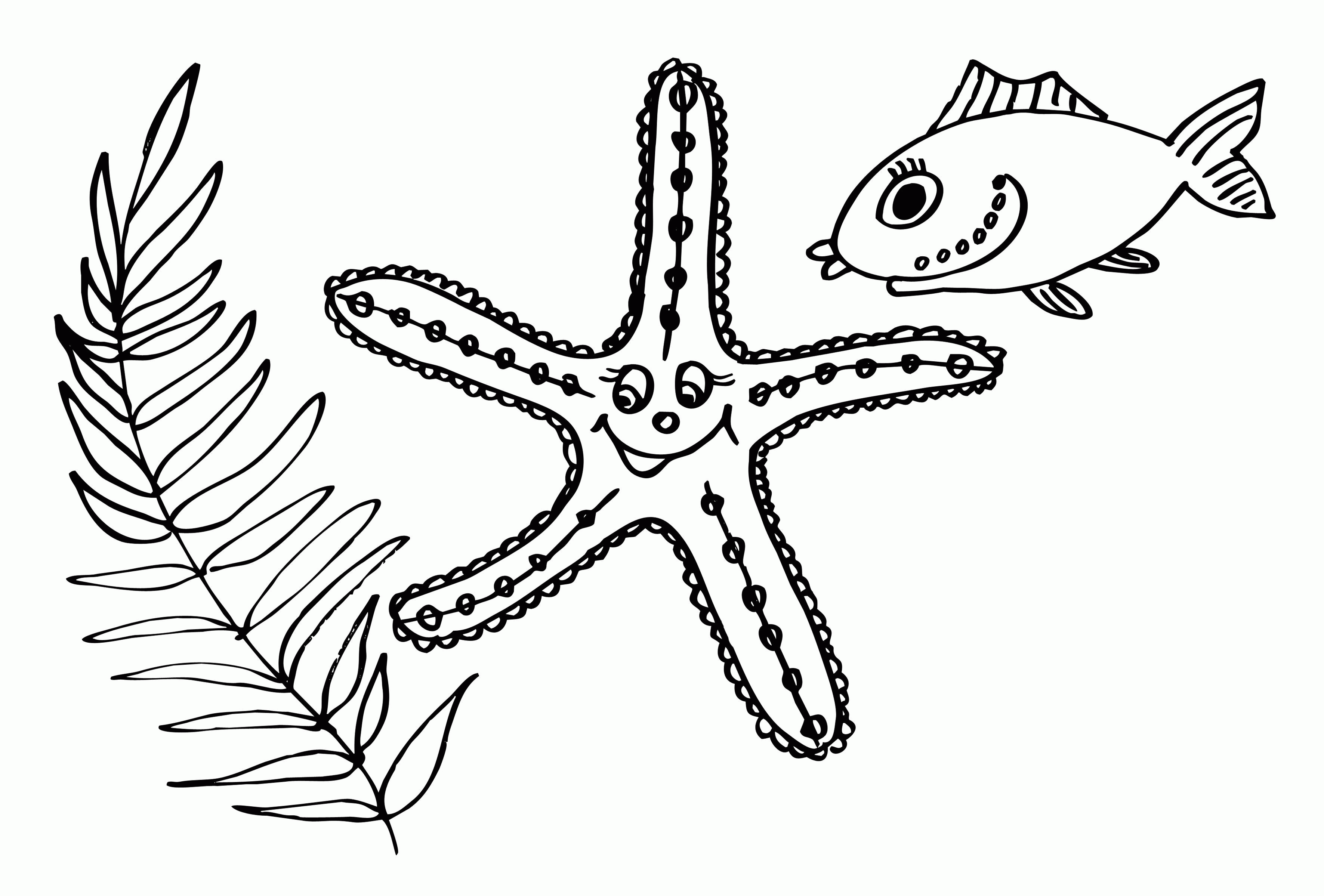 Название: Раскраска Водоросль, морская звезда и рыбка. Категория: . Теги: .
