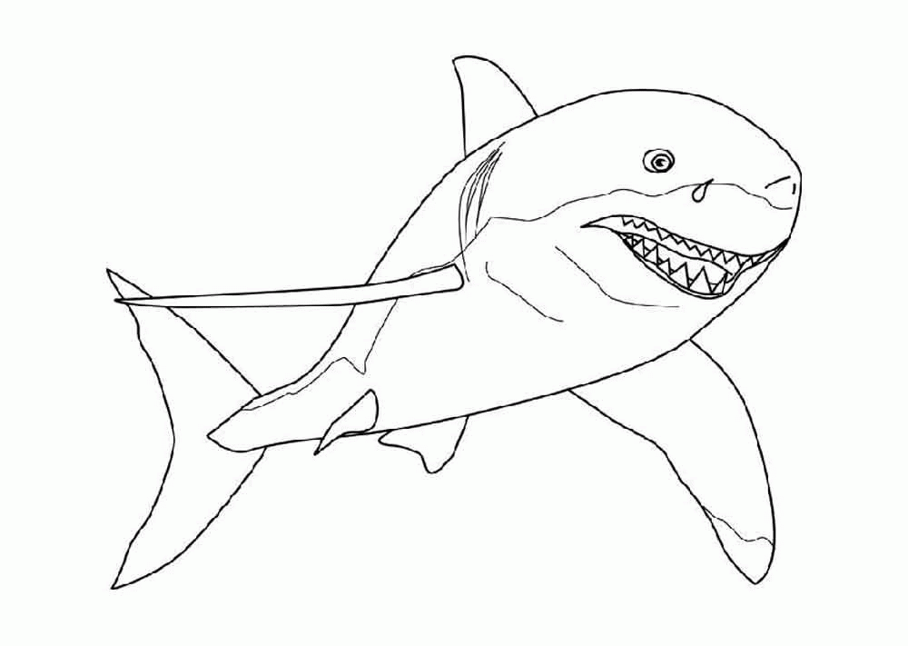 Название: Раскраска Хищная акула, скачать или распечатать раскраску распечатать скачать. Категория: . Теги: .