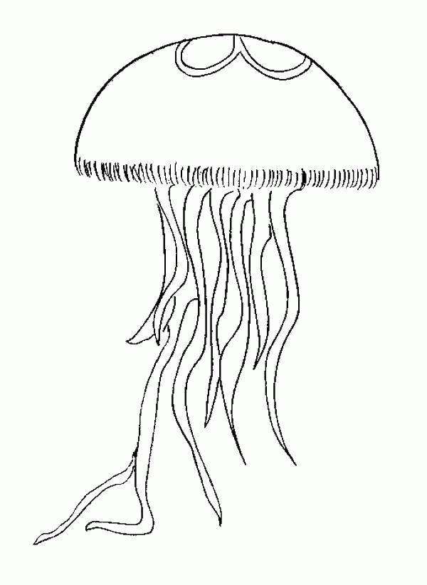 Название: Раскраска Медуза с множеством щупалец. Категория: . Теги: .