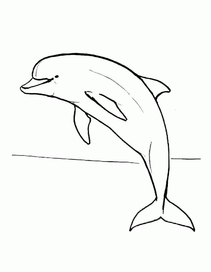 Название: Раскраска Контур дельфина. Категория: . Теги: .