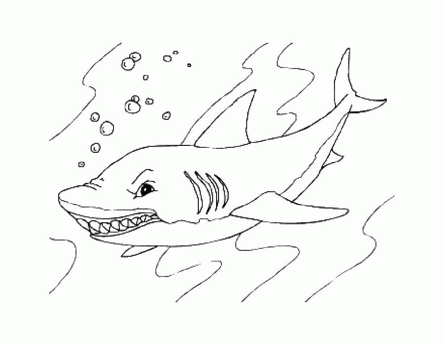 Название: Раскраска Раскраска Акула Скачать ,акула,.  Распечатать . Категория: . Теги: .