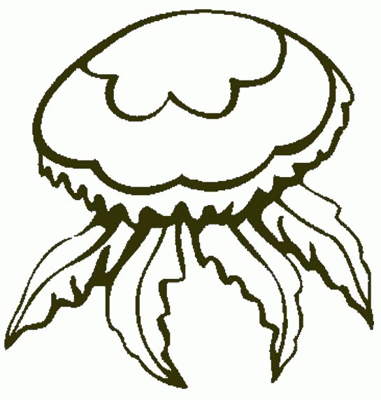 Название: Раскраска Раскраска красивая медуза. Скачать медуза.  Распечатать Морские животные. Категория: . Теги: .