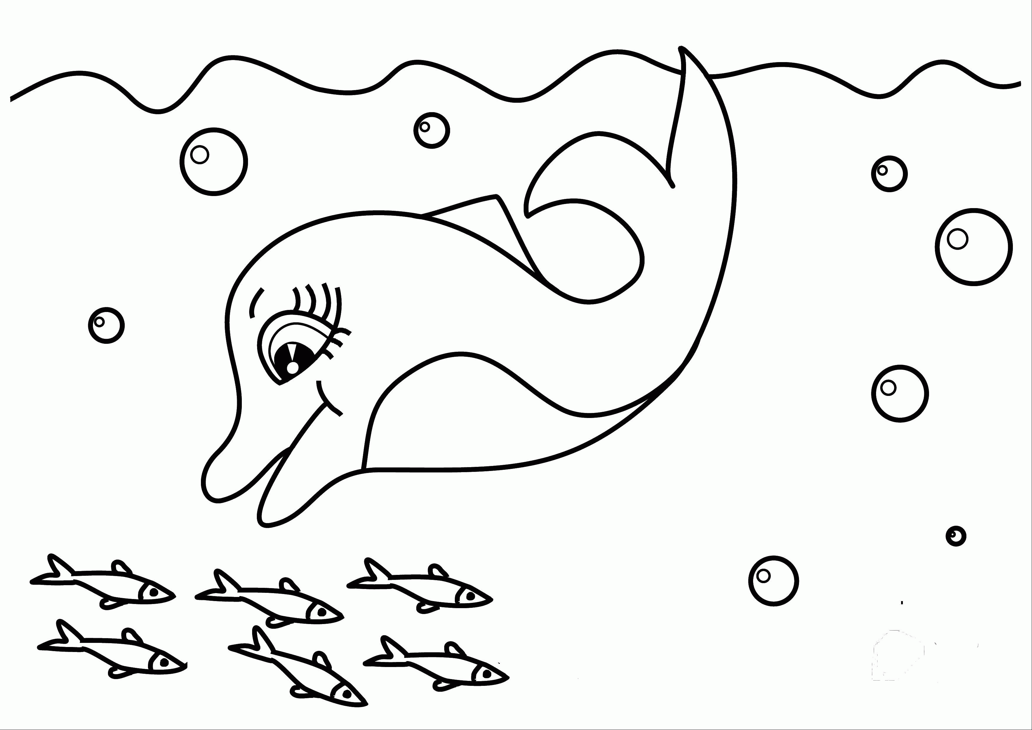 Название: Раскраска Дельфинчик и рыбки. Категория: . Теги: .