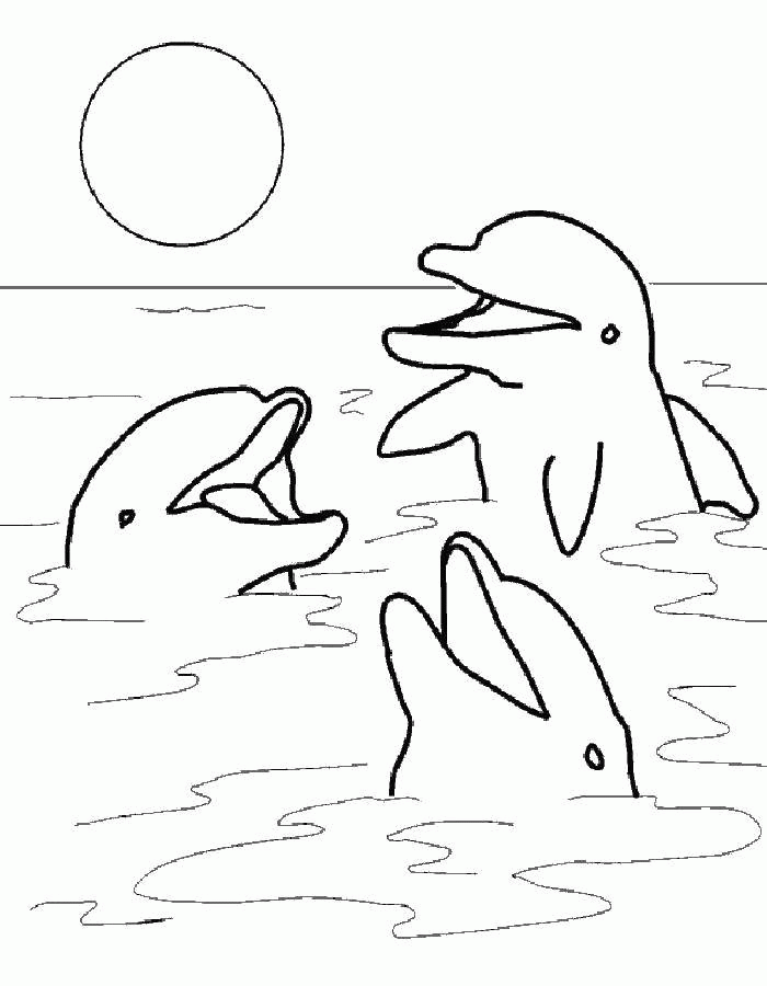 Название: Раскраска Три дельфина и солнце. Категория: . Теги: .