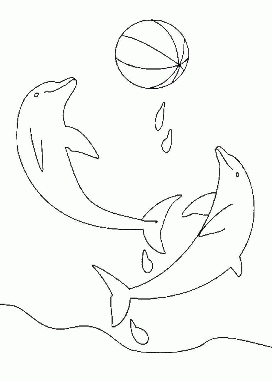 Название: Раскраска Дельфинчики играют с мячом в воде. Категория: . Теги: .
