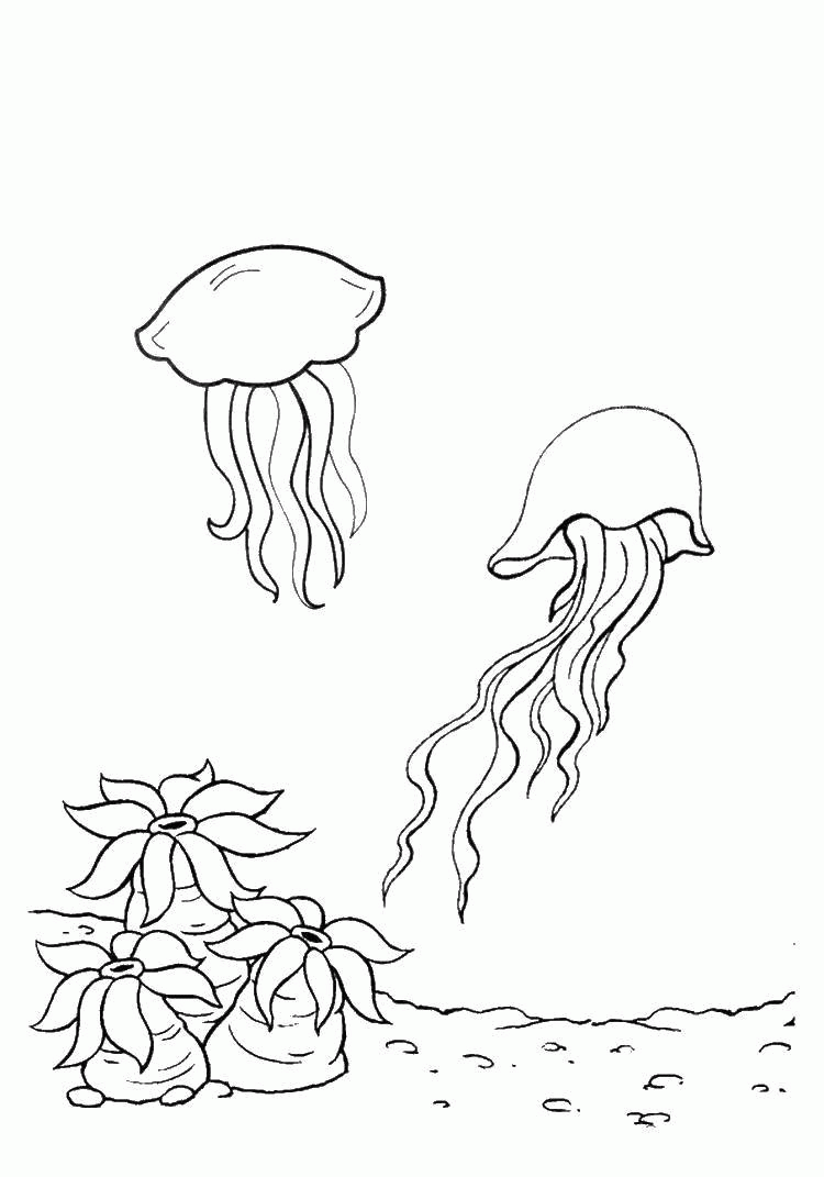 Название: Раскраска Название: Раскраска Две медузы. Категория: морские животные. Теги: морские животные, море, медузы.. Категория: . Теги: .