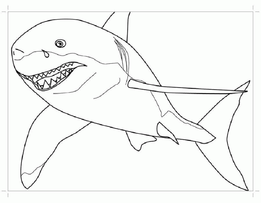 Название: Раскраска Хищная акула. Категория: . Теги: .