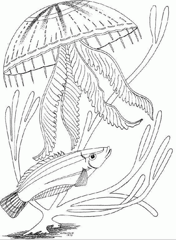 Название: Раскраска Медуза и рыбка. Категория: . Теги: .