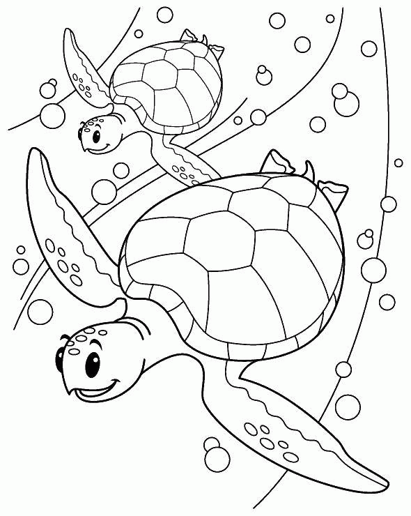 Название: Раскраска Дружные морские черепахи. Категория: . Теги: .