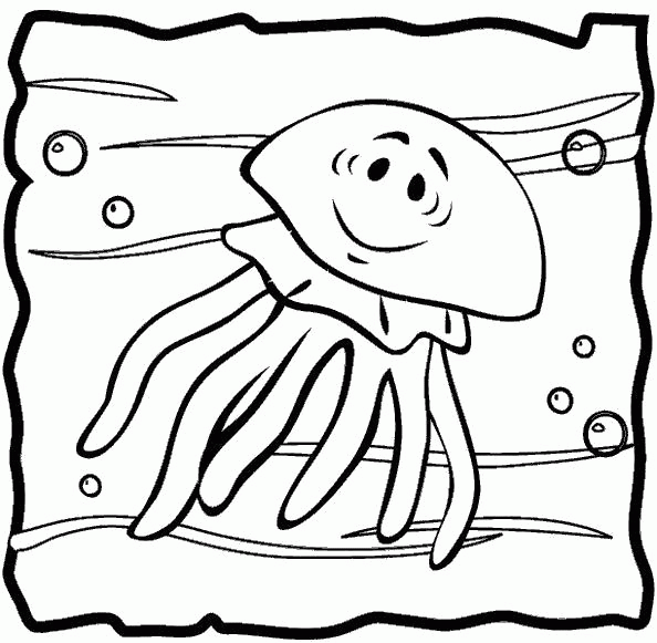 Название: Раскраска Раскраска медуза морская. Скачать медуза.  Распечатать Морские животные. Категория: . Теги: .