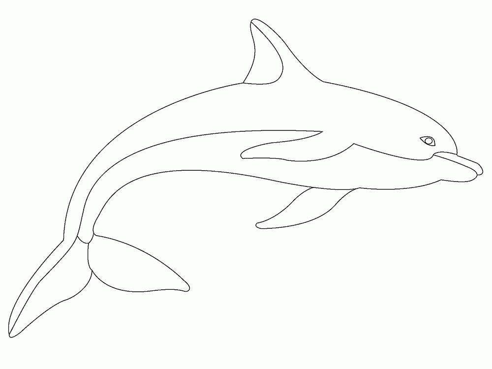 Название: Раскраска Шаблон дельфина. Категория: . Теги: .