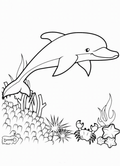 Название: Раскраска Рисунок дельфина в коралловом рифе. Категория: . Теги: .