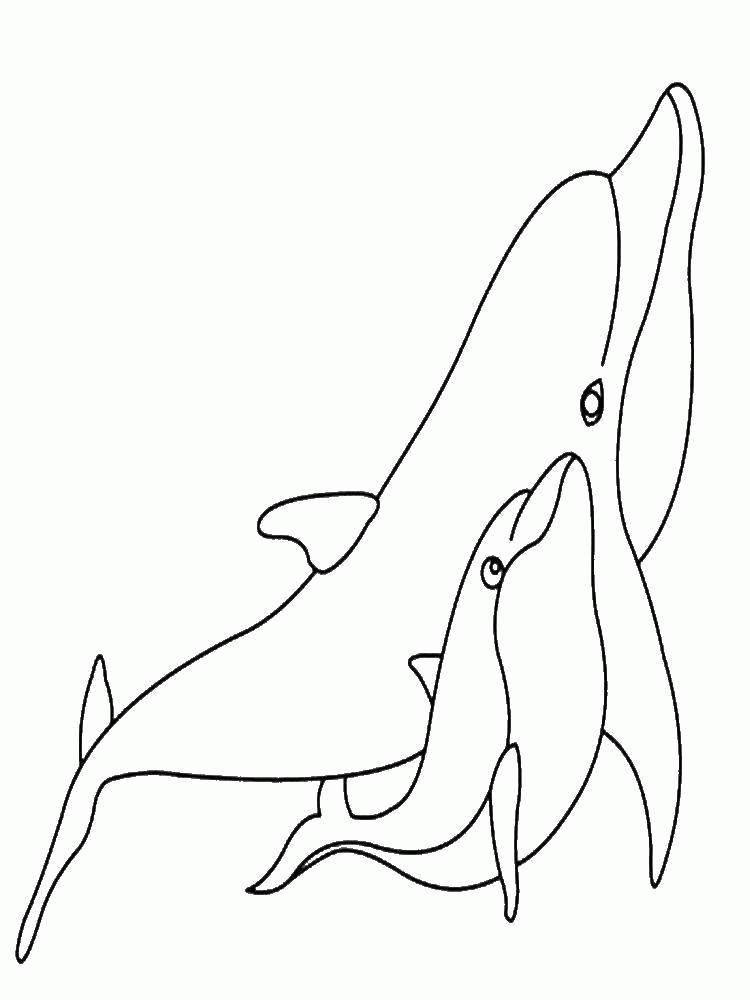 Название: Раскраска Мама дельфин с детёнышем. Категория: . Теги: .