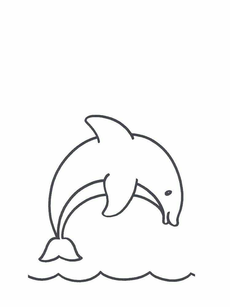 Название: Раскраска Название: Раскраска Высокий прыжок дельфина. Категория: дельфин. Теги: Подводный мир, дельфин.. Категория: . Теги: .