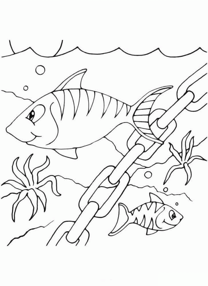 Раскраска Рыбы возле потонувшего коробля, скачать или распечатать раскраску распечатать скачать Скачать .  Распечатать 